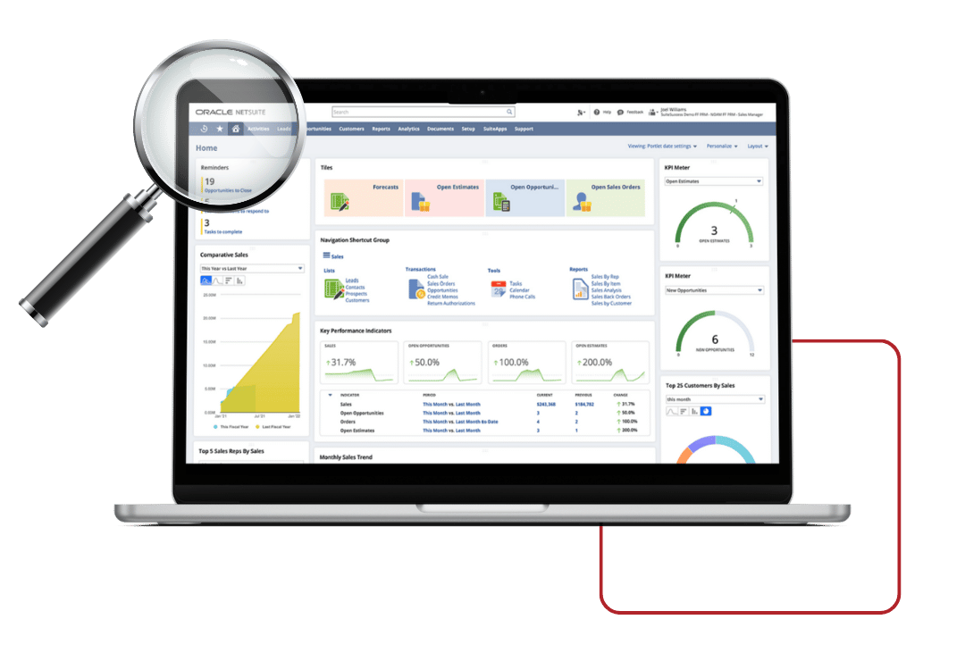 netsuite health check